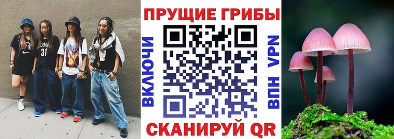 Галлюциногенные грибы мицелий  закладка  Андреаполь 